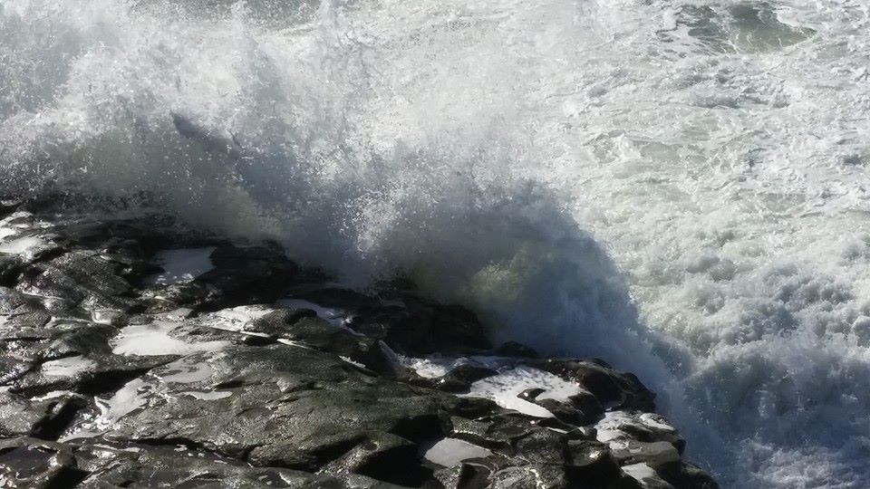 wild waves.jpg