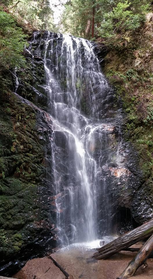 berry creek falls ii.jpg