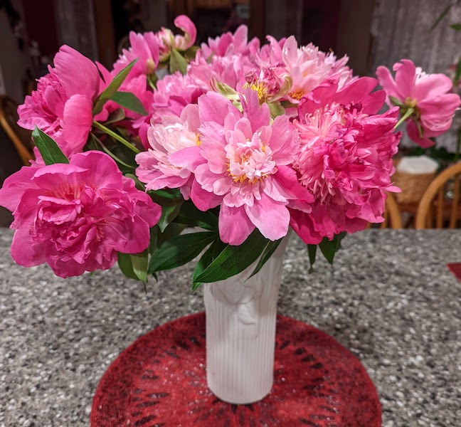 peonies.jpg